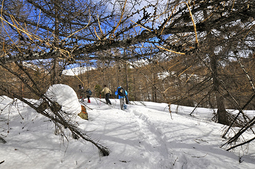 _DSC0554.jpg