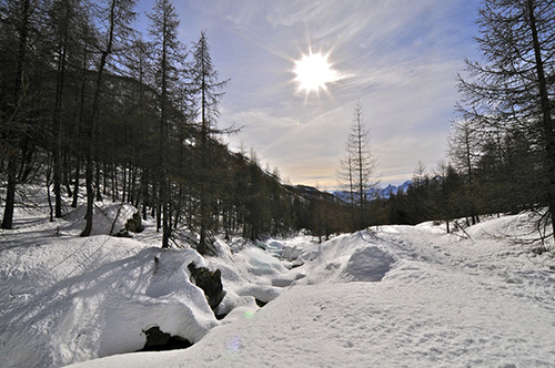 _DSC0586.jpg