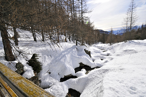 _DSC0597.jpg