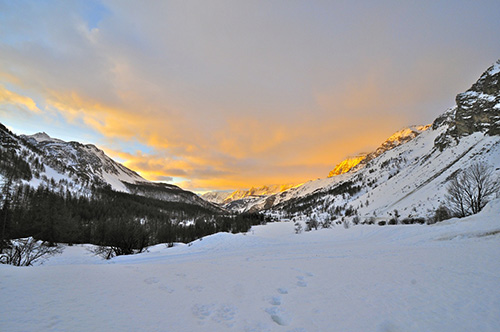 _DSC0930.jpg