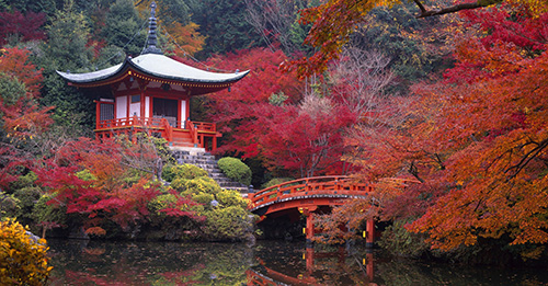 22.09.2015CPkyoto_automne1_Page_1_Image_0001.jpg