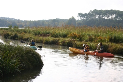 MD_CanoeEtangBlanc-cdtLandes.JPG