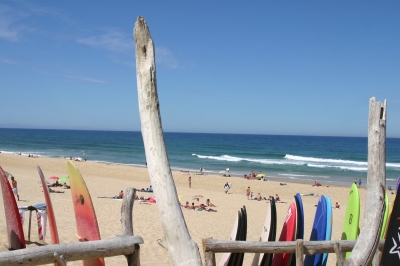 MD_Planches_surf_-cdtLandes.JPG