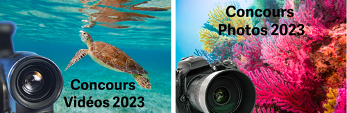 concoursphotosvideossalonplongeee2023