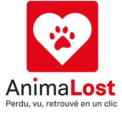 DP_AnimaLost_Campagne_Ulule_janvier_2017_Page_1_Image_0001.jpg