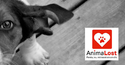 DP_AnimaLost_Campagne_Ulule_janvier_2017_Page_2_Image_0001.jpg