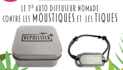 moustique2.jpg