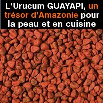 L'Urucum GUAYAPI un trésor