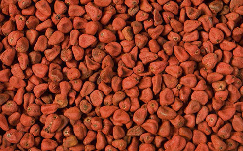 CP-GUAYAPI-URUCUM-POUDRE_Page_1_Image_0003.jpg