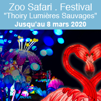 Voyage féerique au Zoo Safari de Thoiry