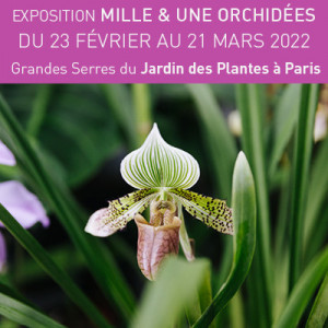 Exposition florale du 23 février au 21 mars 2022 au Jardin des Plantes à Paris