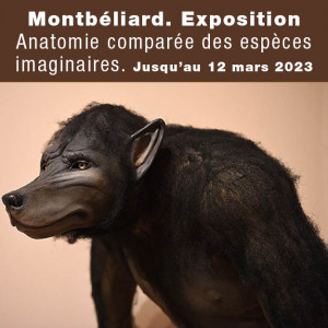 Nouvelle exposition à Montbéliard jusqu'au 12 mars 2023
