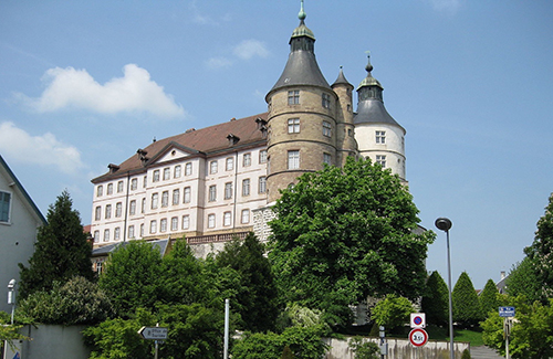 Montbeliard Anatomie comparee des especes
