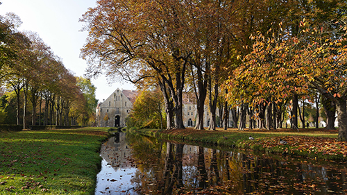 parc-automne-royaumont-2016-fm_1_.jpg