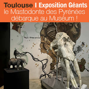 Dès le 8 avril 2025, le Mastodonte des Pyrénées débarque au Muséum !