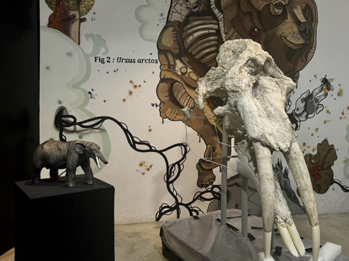 Mastodonte1_credit Museum de Toulouse