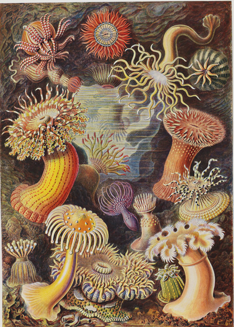 2026expositionprofondeurs3