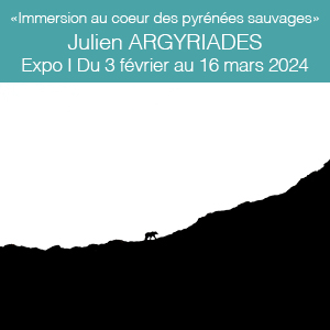 Expo I Du 3 février au 16 mars 2024 I «Immersion au coeur des pyrénées sauvages»  de Julien ARGYRIADES