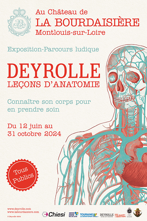 AfficheANATOMIE