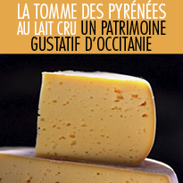 Recettes<br>avec la Tomme<br>des Pyrénées