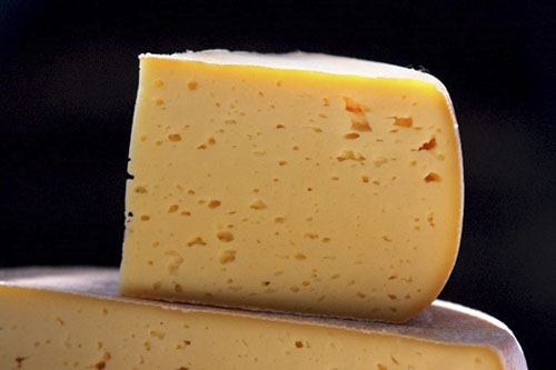 1TOMME DES PYRENEES