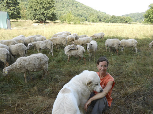 9TOMME DES PYRENEES