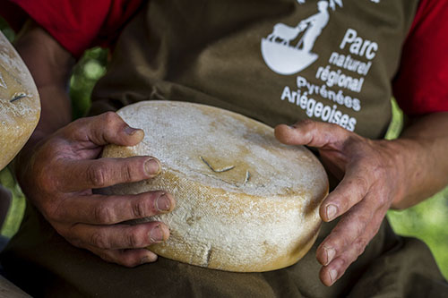 TOMME DES PYRENEES3