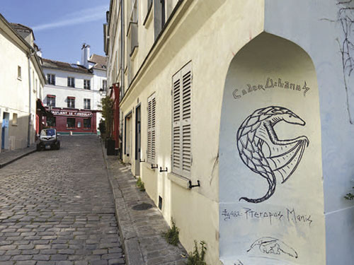 Festival street art4