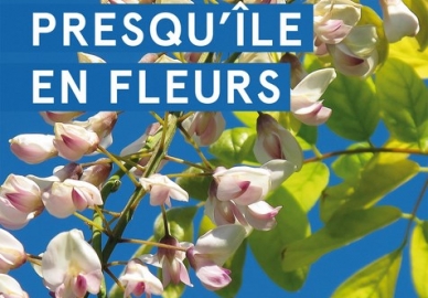 fleur2.jpg