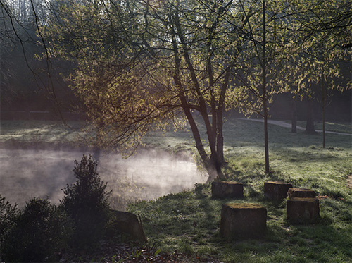 jardin_07.jpg