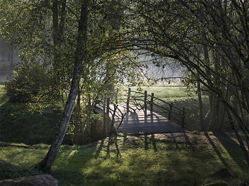 jardin_13.jpg