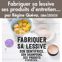 Fabriquer sa lessive ses produits d’entretien... Edition Larousse