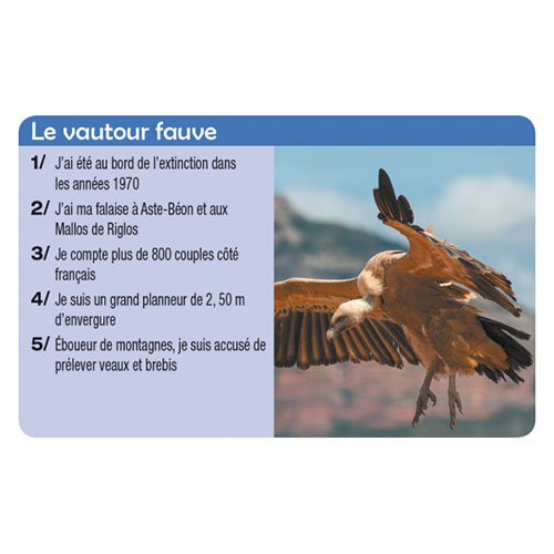 quizz-pyrenees-1