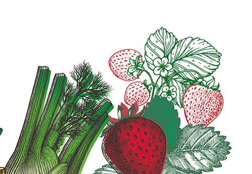 2Atlas des saveurs13