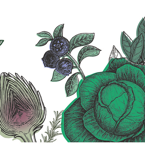 Atlas des saveurs14