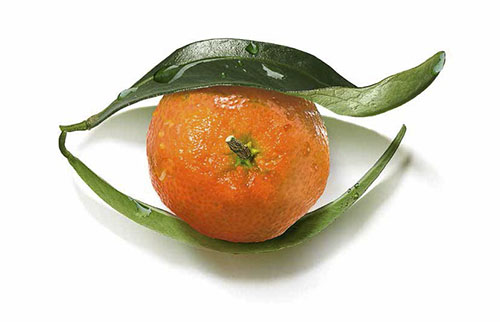 clementine corse28