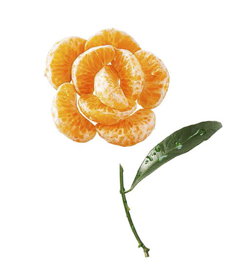 clementine corse3