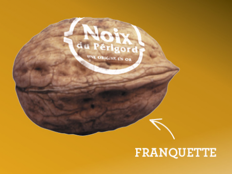 noix_visuels_variete_franquette_thumb.png