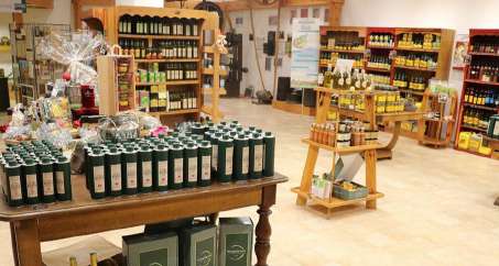 olivesprovencealpes4