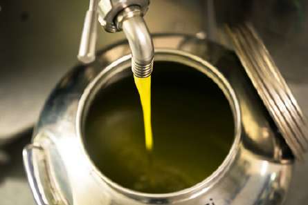 olivesprovencealpes5