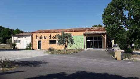 olivesprovencealpes6