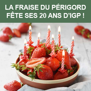 Recette rapide et simple avec les fraises du Périgord IGP