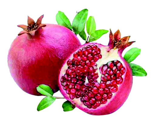 DP-MOLKOSAN-FRUITS_Page_3_Image_0004.jpg