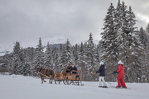 ski joering