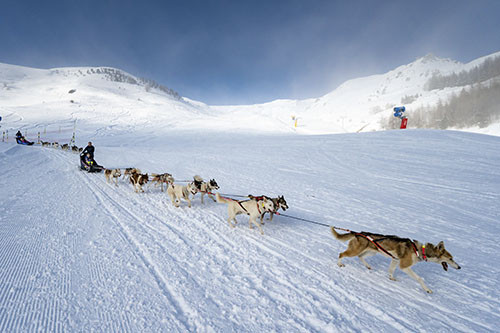 Une_montagne_d_activites.jpg