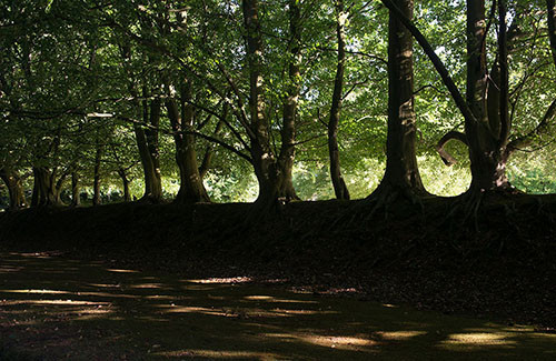 CP ANNONCE FESTIVAL LAND ART OK_Page_3_Image_0004