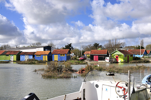 DSC_3754.jpg