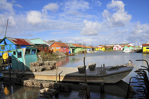 DSC_3819.jpg
