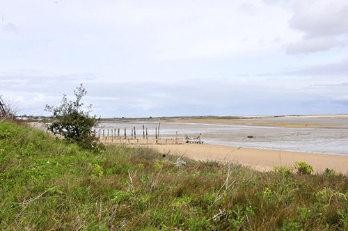 DSC_3901.jpg