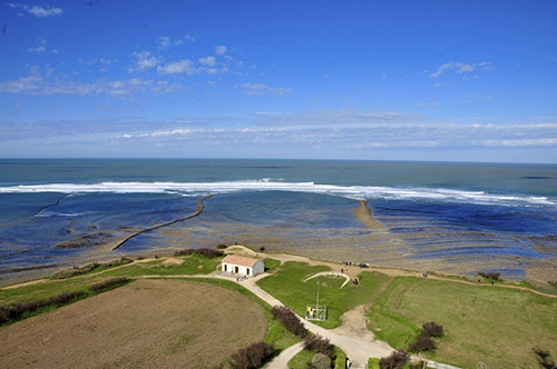 DSC_3938.jpg
